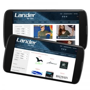 Adaptare responsive website lander.ro